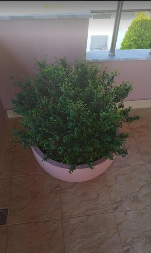 Victoria Apartments Ksamil Dış mekan fotoğraf